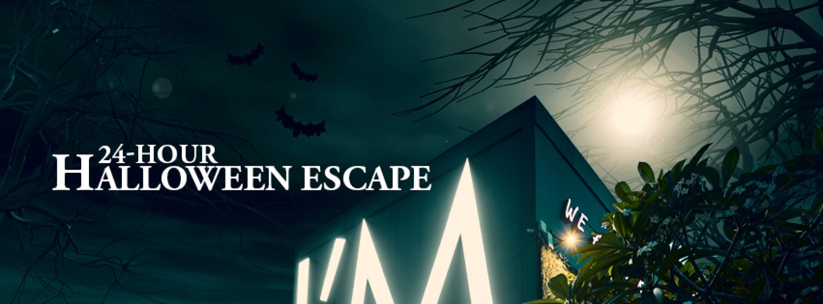 2.2 Flash Sale 2024_851 px x 315 px_Halloween