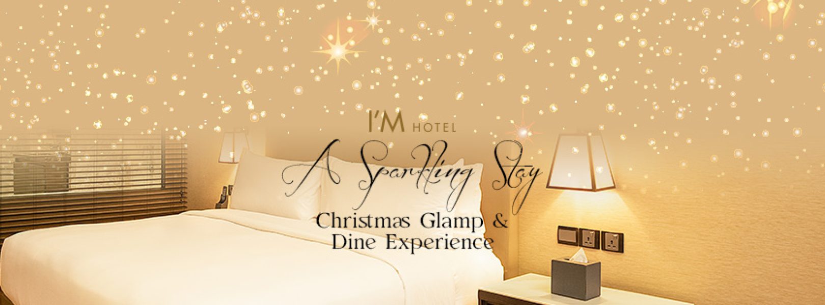 CHRISTMAS PACKAGE 2025_851 px x 315 px