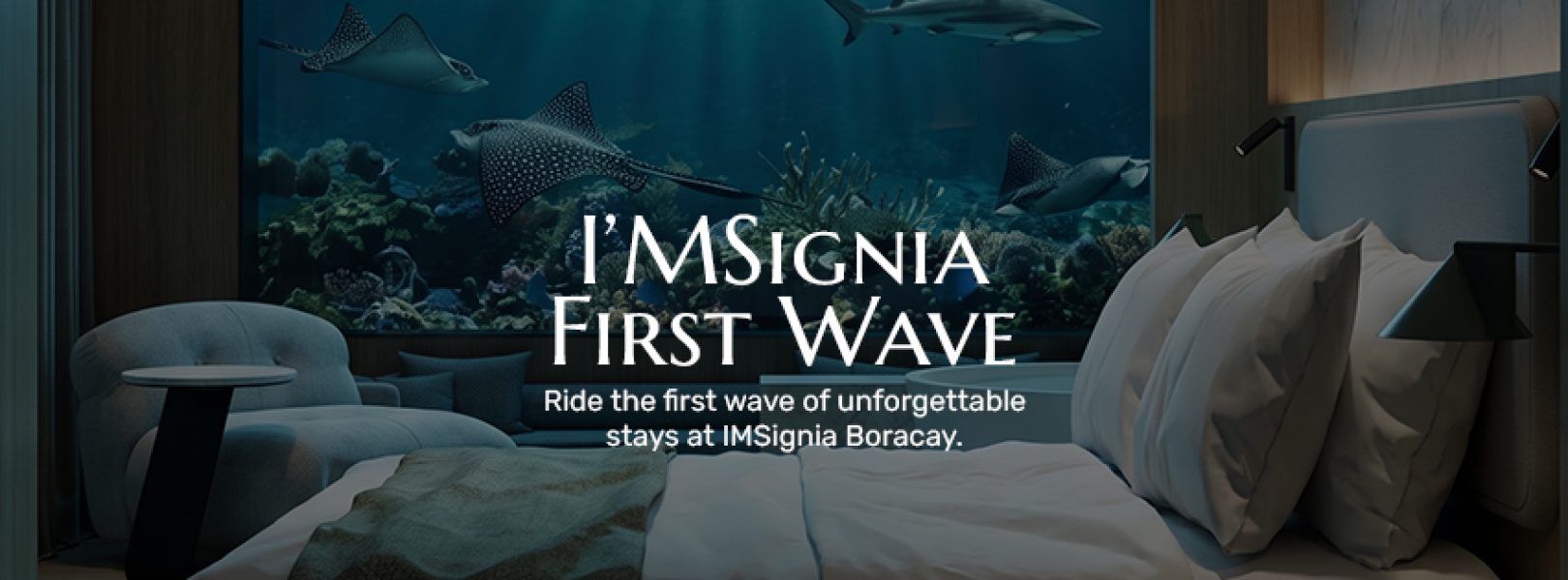 IMSIGNIA PRE OPENING SALE_851 px x 315 px